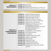 CERTIFICACIÓN ONLINE GOLD BROWS EXPERT ONLINE